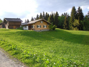 Maisäß Lifinarblick, Tschagguns, Österreich